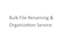 professionally bulk rename and organize files with python automation